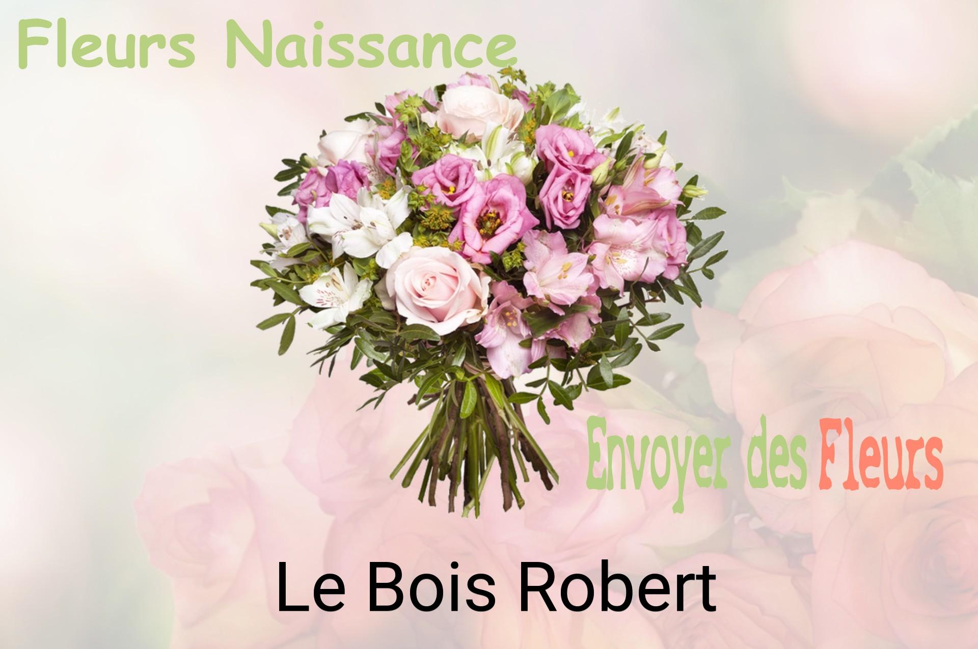 Bouquet de fleurs de naissance livré à Le Bois-Robert